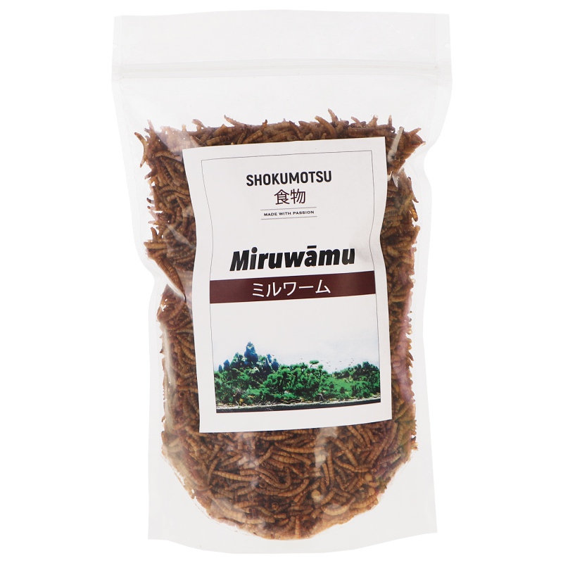 SHOKUMOTSU Miruwamu 20g - flour weevil larvae